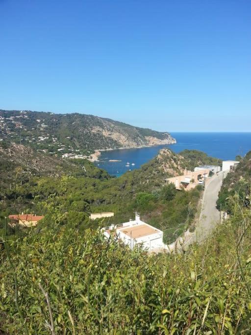 Casa Torre Cruilles Big, Stylish, Modernized 'Castle' Prime Costa Brava With Ac Villa Luaran gambar